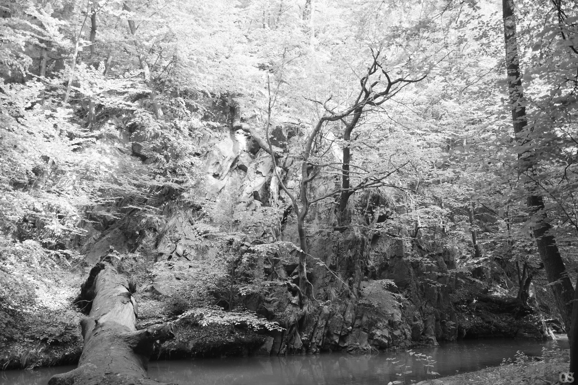 Sciezka Hochbergow 31.jpg